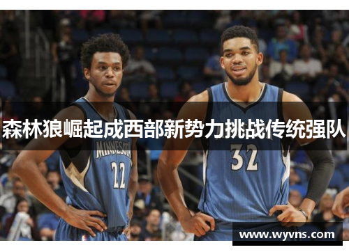 森林狼崛起成西部新势力挑战传统强队